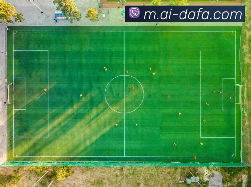 大发彩票APP 封面图